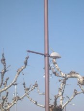 Installation de la colonne Daudet 3